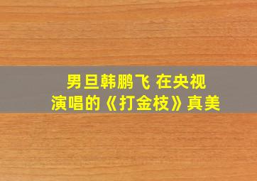 男旦韩鹏飞 在央视演唱的《打金枝》真美